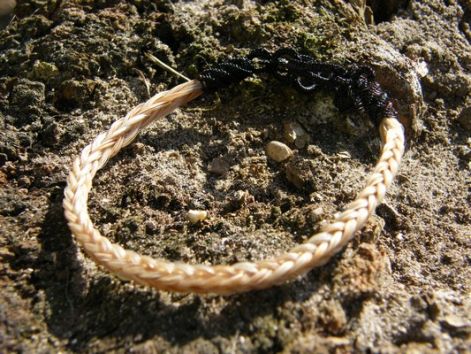 dscf0329.jpg dscf0329.jpg