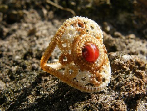 dscf0331.jpg dscf0331.jpg