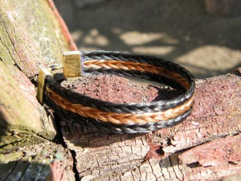 dscf0339.jpg dscf0339.jpg