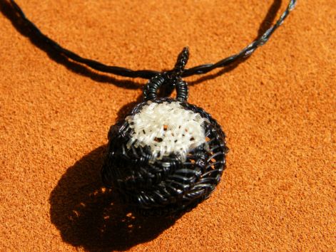 tn_dscf5493.jpg tn_dscf5493.jpg